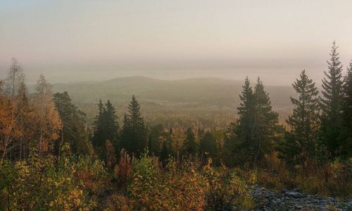 Фото СКР по Красноярскому краю и Хакасии